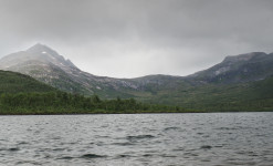 Expédition naturaliste au nord du Cercle Arctique