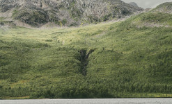 Expédition naturaliste au nord du Cercle Arctique