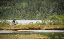 Expédition naturaliste au nord du Cercle Arctique