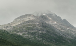 Expédition naturaliste au nord du Cercle Arctique