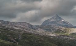 Expédition naturaliste au nord du Cercle Arctique