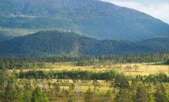 Expédition naturaliste au nord du Cercle Arctique