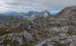 Expédition naturaliste au nord du Cercle Arctique