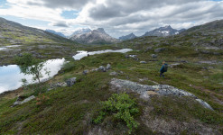 Expédition naturaliste au nord du Cercle Arctique