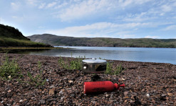 Immersion à Saint-Pierre et Miquelon : découverte, observation et photo ornithologiques