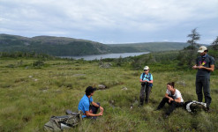 Immersion à Saint-Pierre et Miquelon : découverte, observation et photo ornithologiques