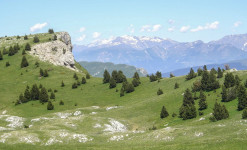 RESSOURCEMENT AU CŒUR DU VERCORS  MARCHE - NATUROPATHIE - YOGA ET MASSAGE