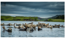 Ile de Skye : Spectaculaire et  Envoûtante