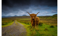 Ile de Skye : Spectaculaire et  Envoûtante