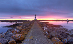 Immersion à Saint-Pierre et Miquelon : découverte, observation et photo ornithologiques