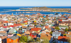 Immersion à Saint-Pierre et Miquelon : découverte, observation et photo ornithologiques