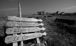 Immersion à Saint-Pierre et Miquelon : découverte, observation et photo ornithologiques