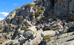 Au pays de l'ours, dans les Pyrénées Ariégeoises