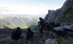 Au pays de l'ours, dans les Pyrénées Ariégeoises