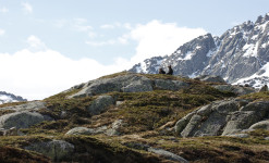 Au pays de l'ours, dans les Pyrénées Ariégeoises