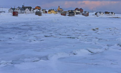 Immersion au paradis des oiseaux sur la péninsule de Varanger