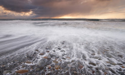 Immersion au paradis des oiseaux sur la péninsule de Varanger