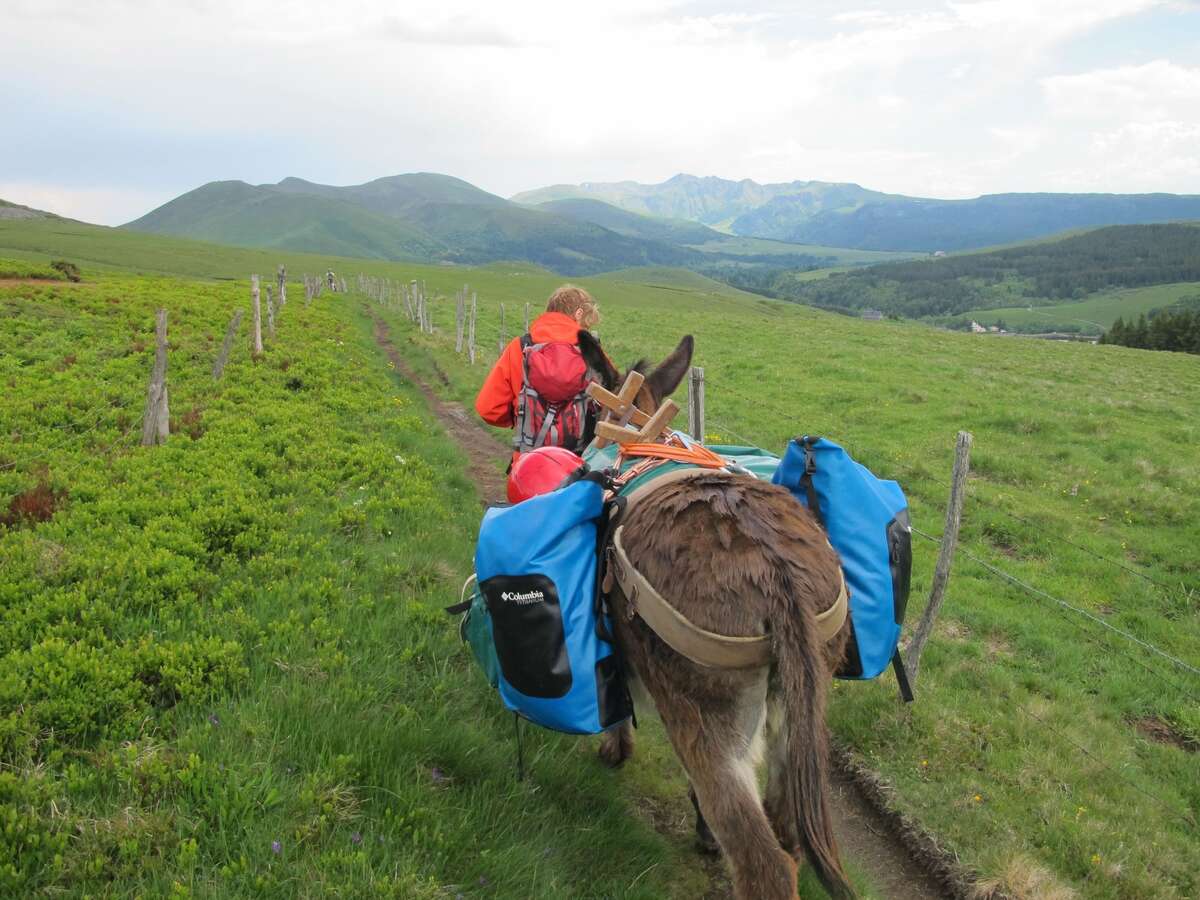 Randonneurs  avec des ânes