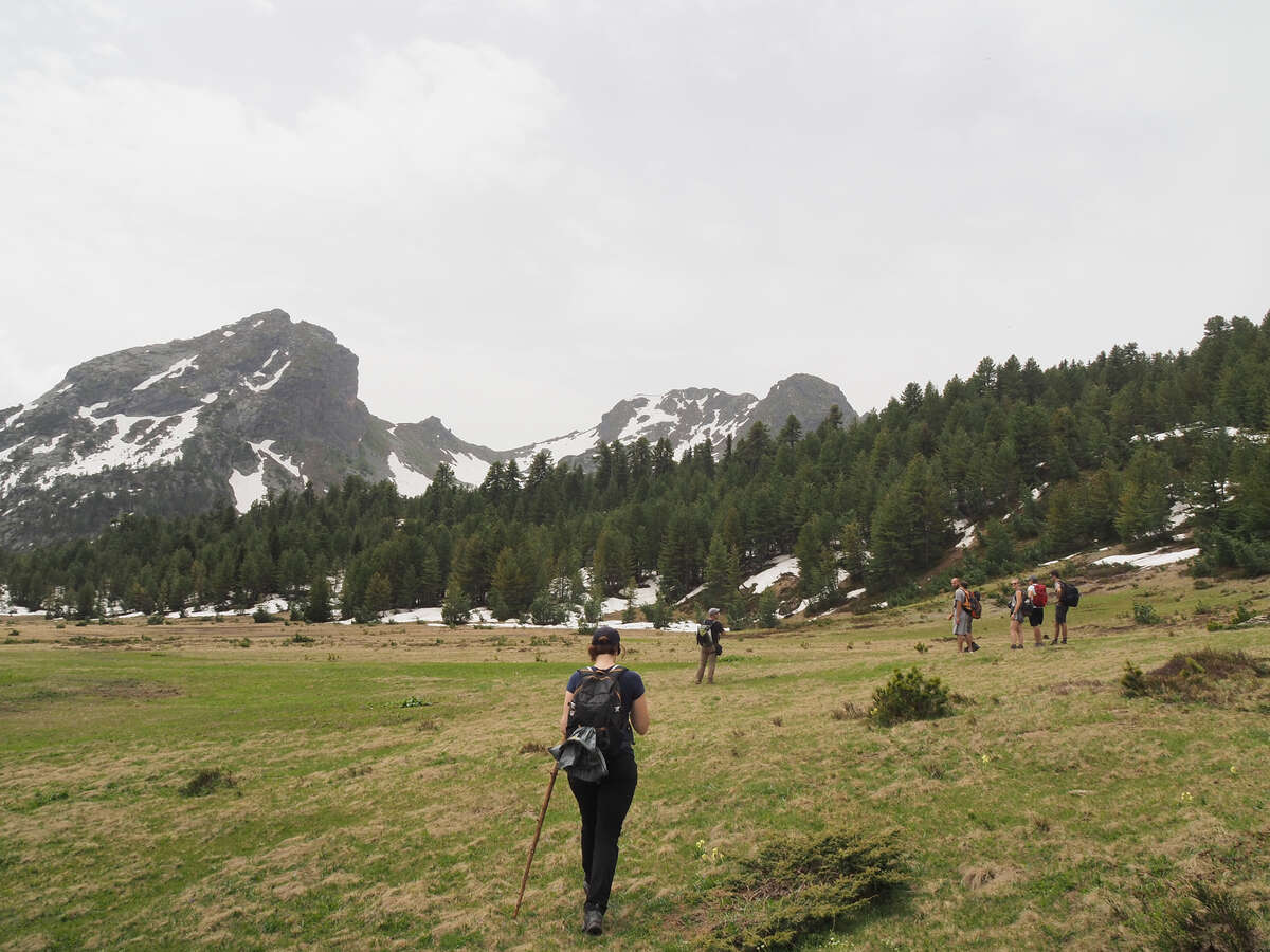 Randonneurs devant des montagnes