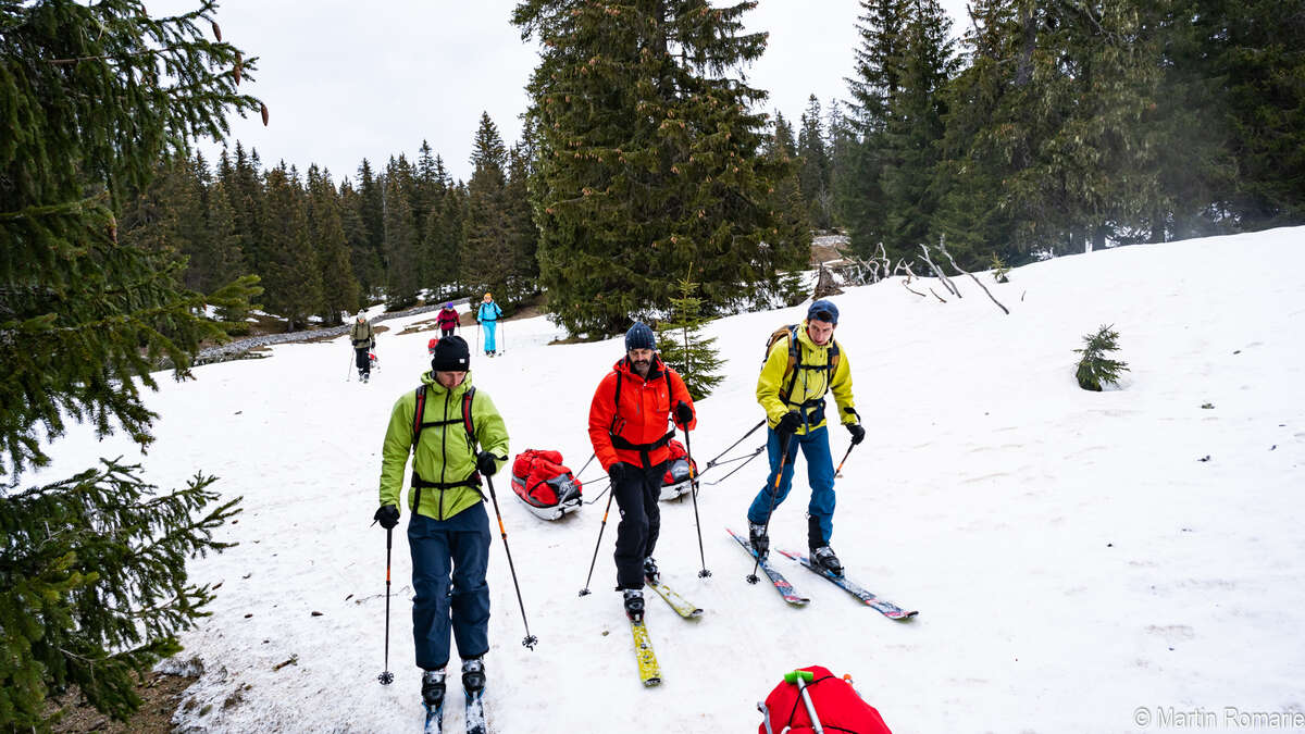 Skieurs et pulka dans la forêt