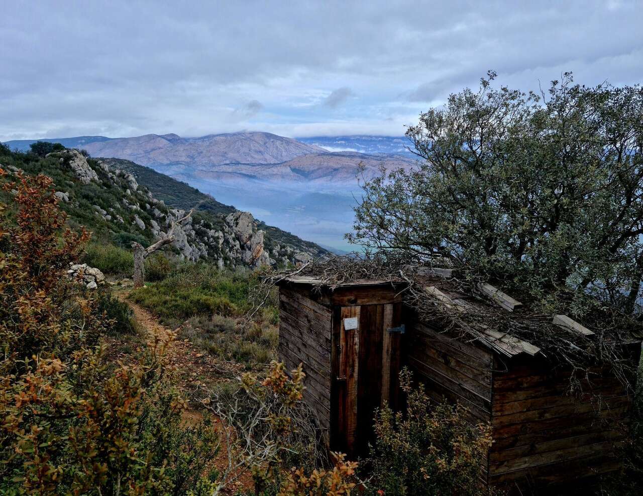 Affût en montagne