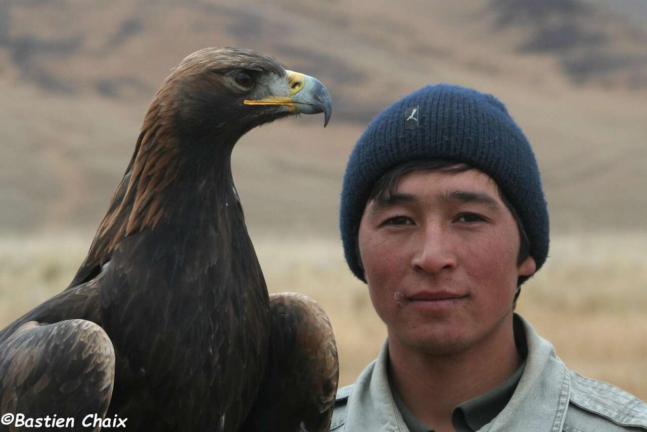 Aigle et aiglier