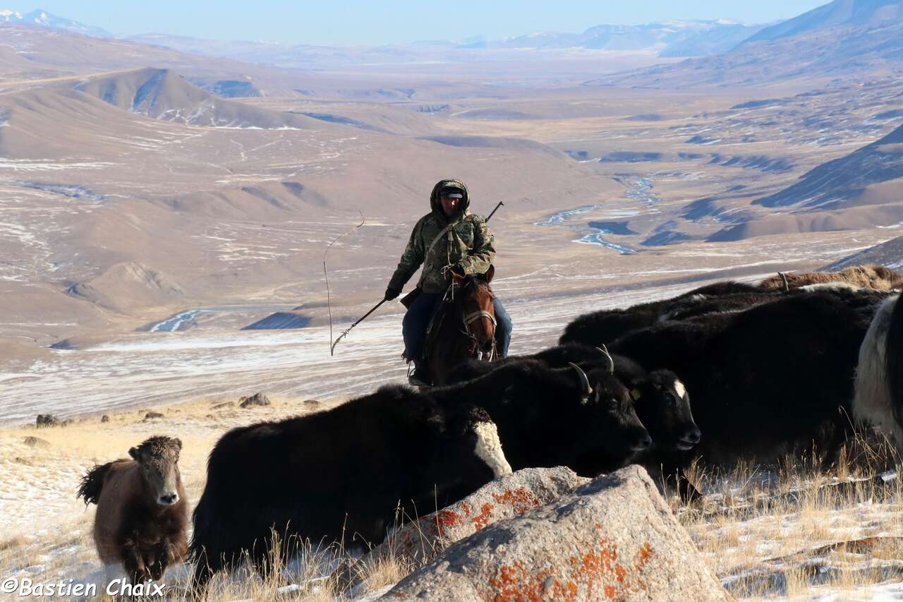 Berger devant des montagnes