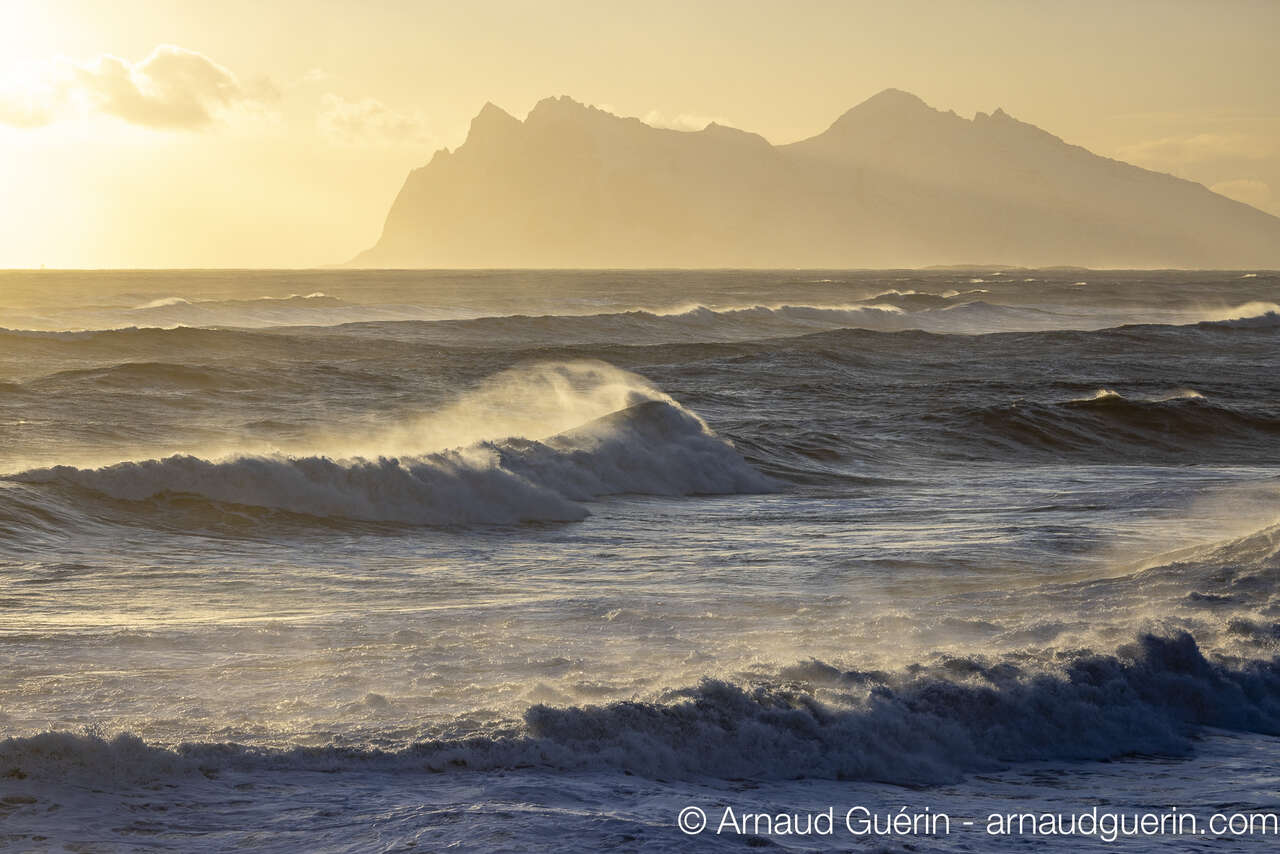 Bord de mer et vagues