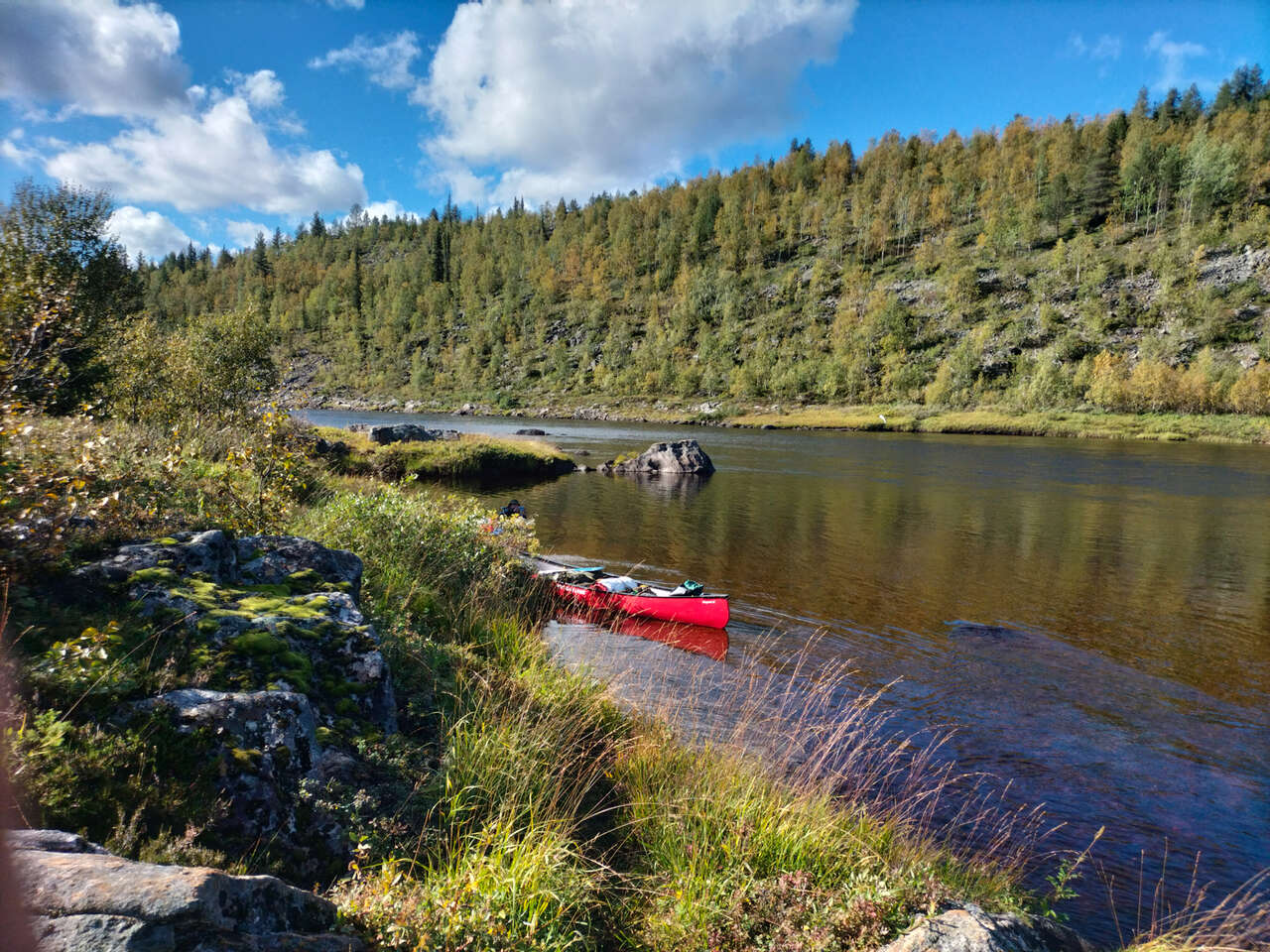 Canoë dans la rivière au bord de l'eau