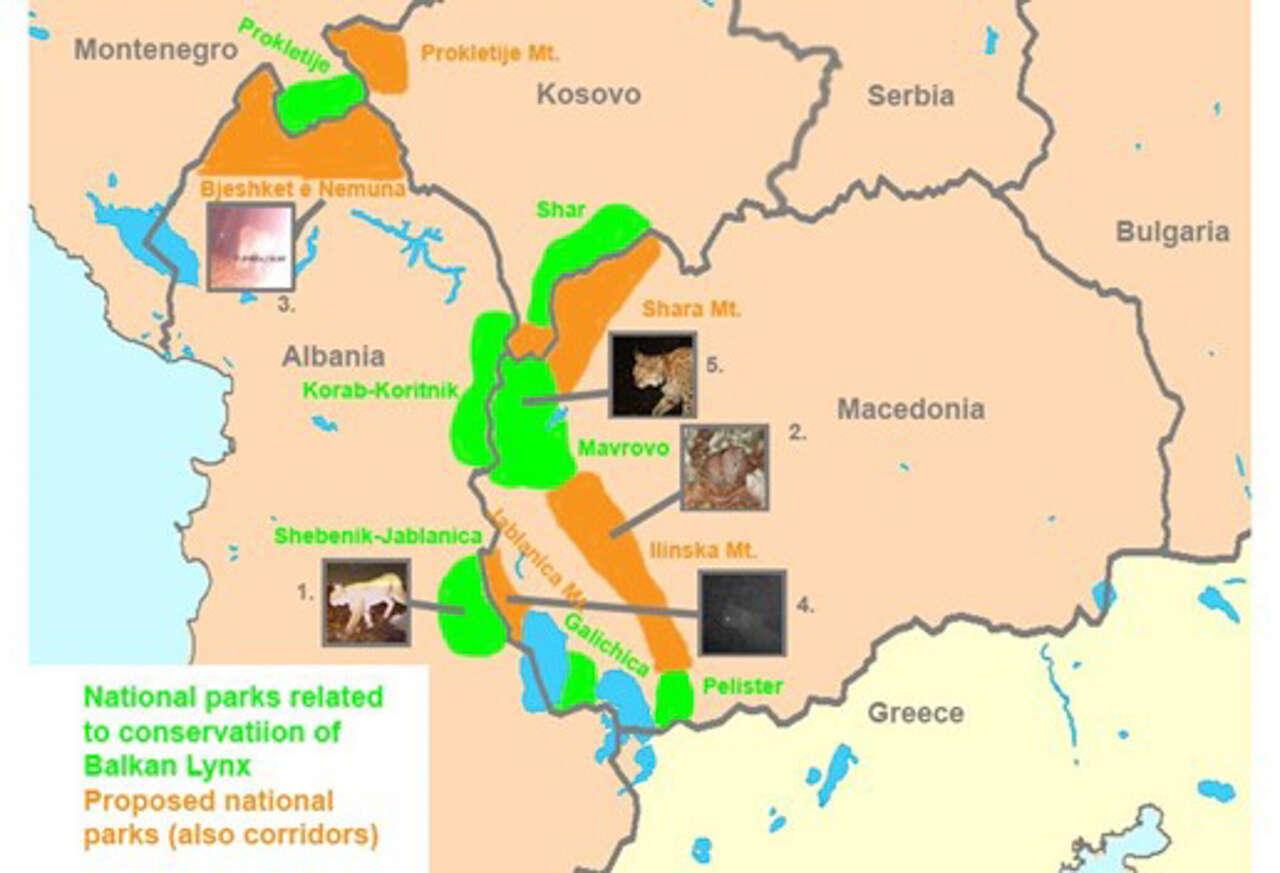 Carte des Balkans