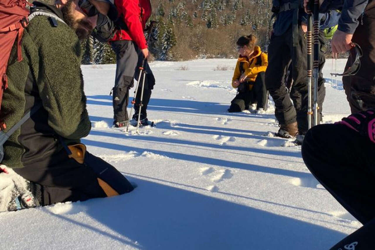 Ceci est une légende en balise alt