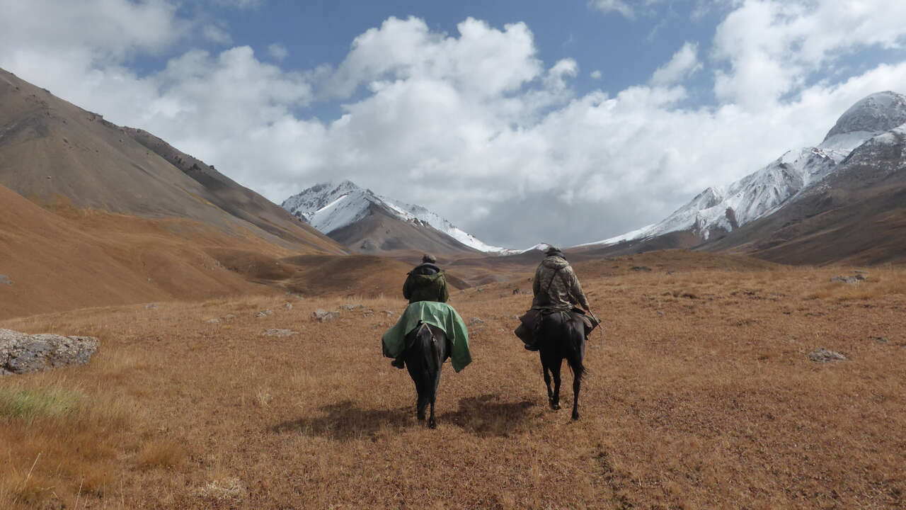 Chevaux et cavaliers dans la montagne