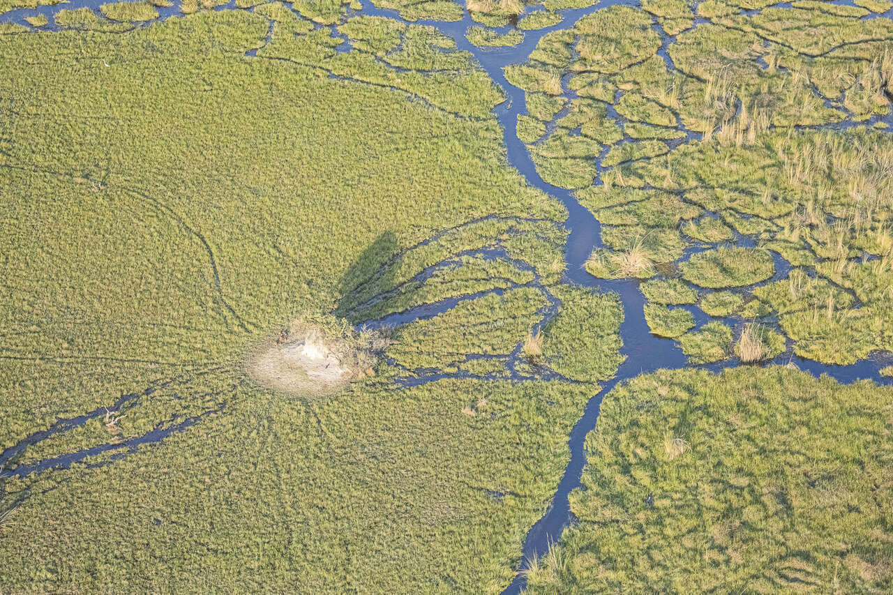 Delta vu du ciel