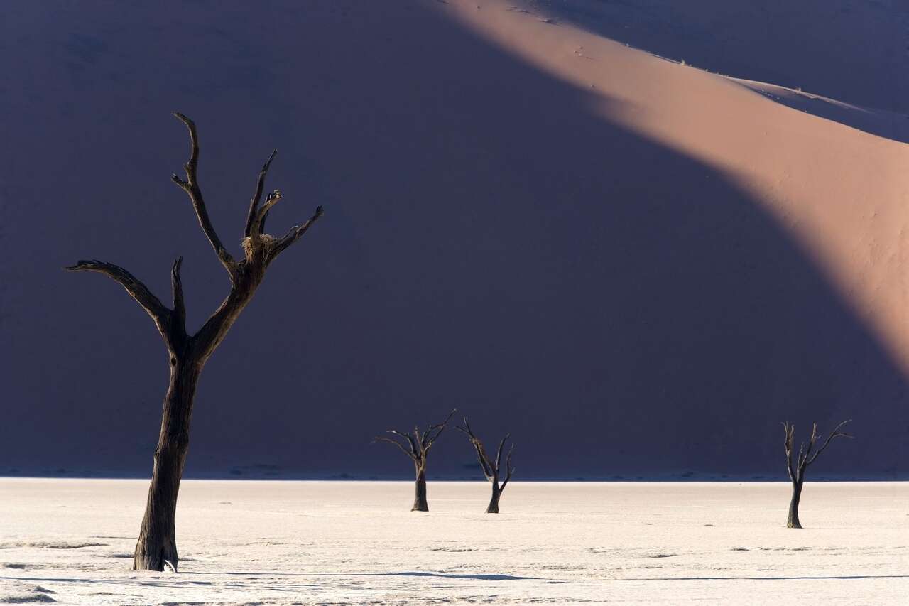 Lac Sossusvlei