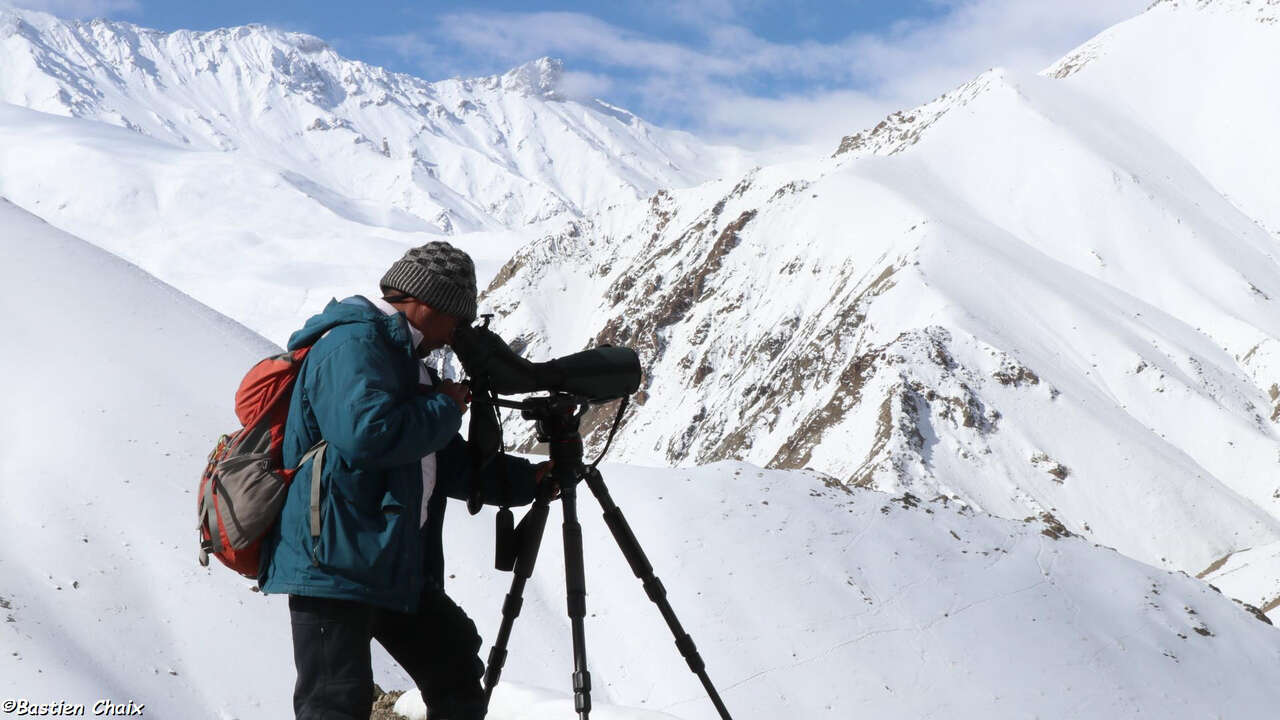 Observateur à la longue vue dans les montagnes