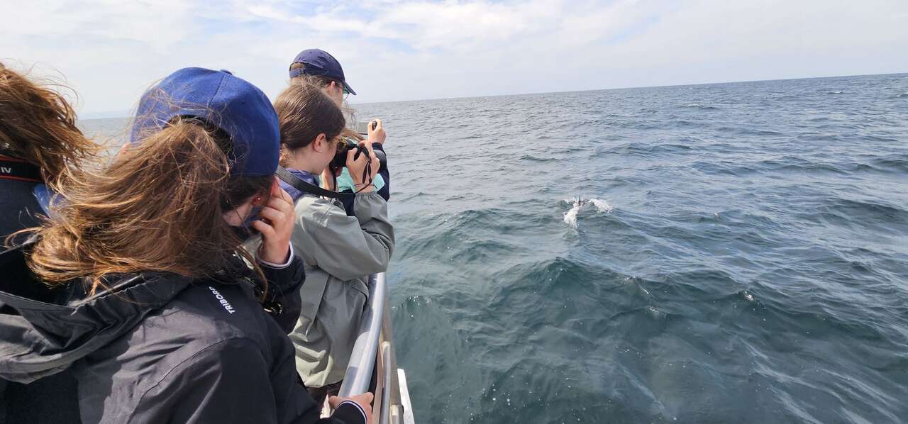 Observateur sur un bateau