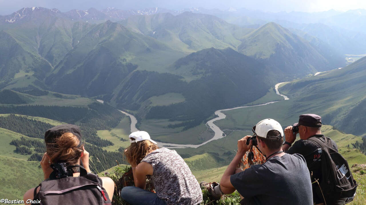 Observation de la faune sauvage