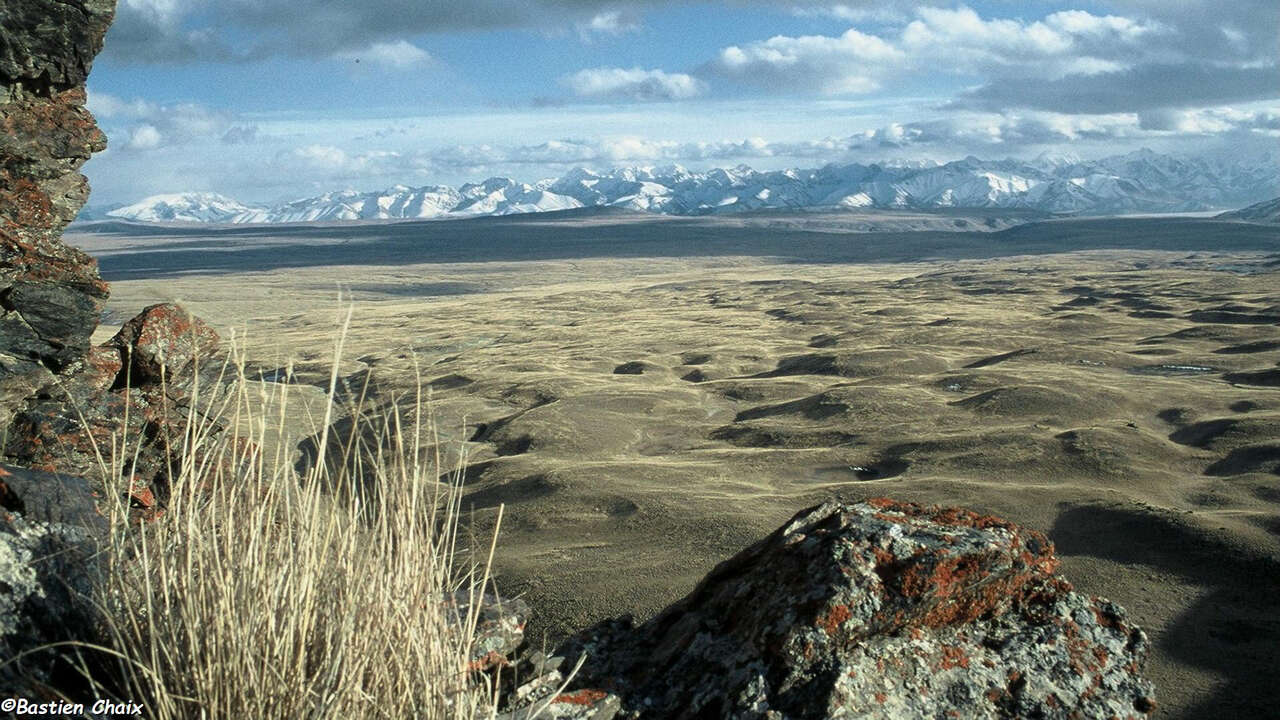 Paysage de montagne au Kirghizistan