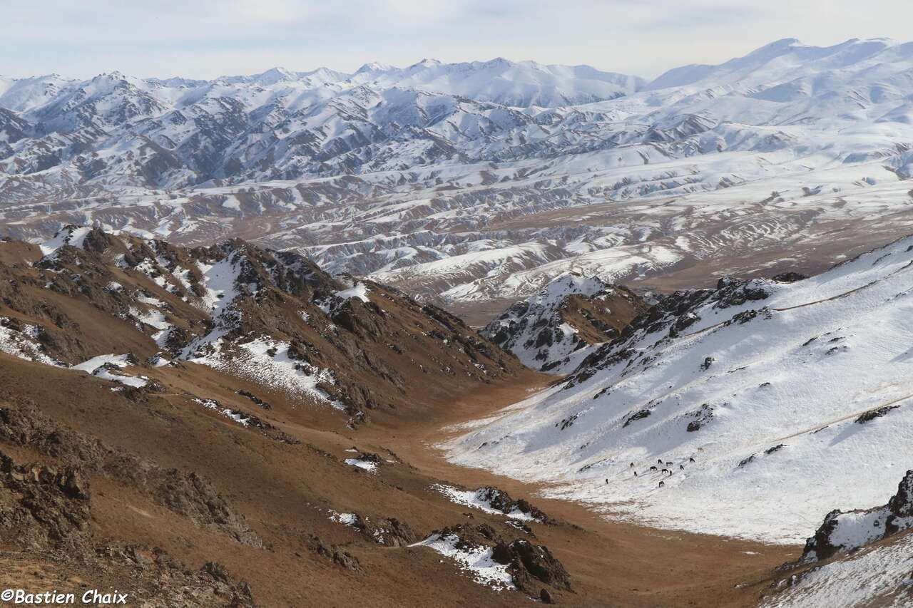 Paysage de montagne au Kirghizistan