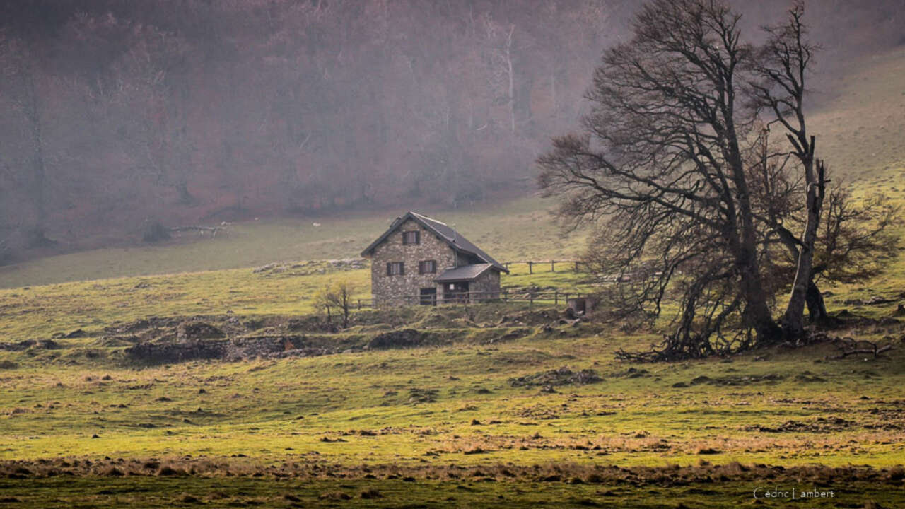 Paysage de montagne