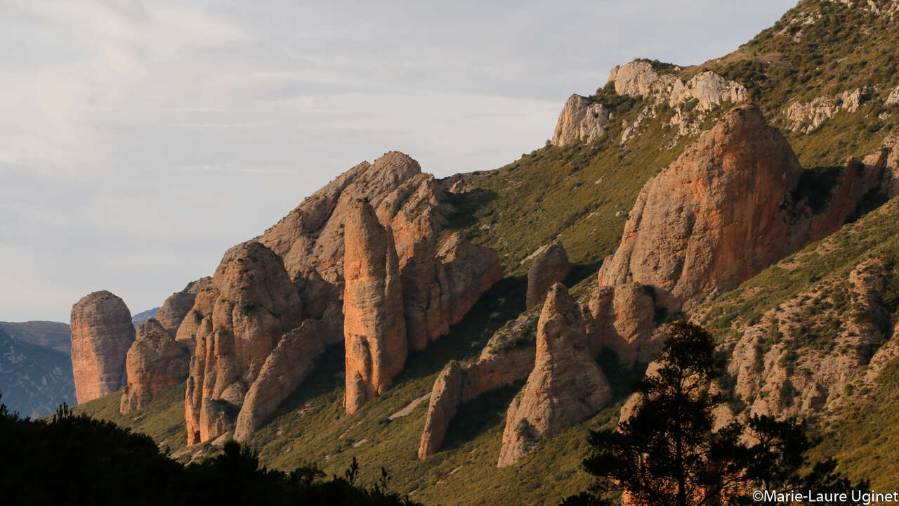 Paysage de montagne