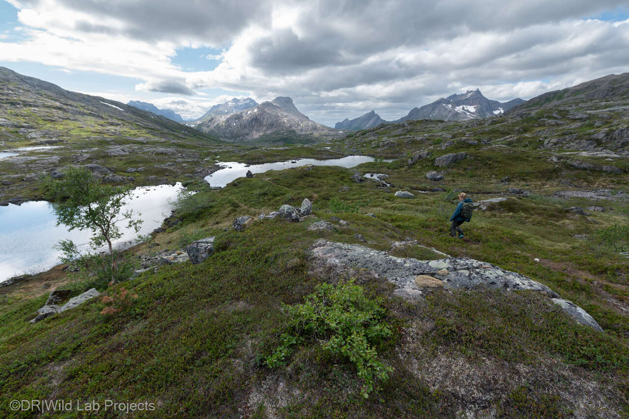 Paysage de norvège avec montagnes