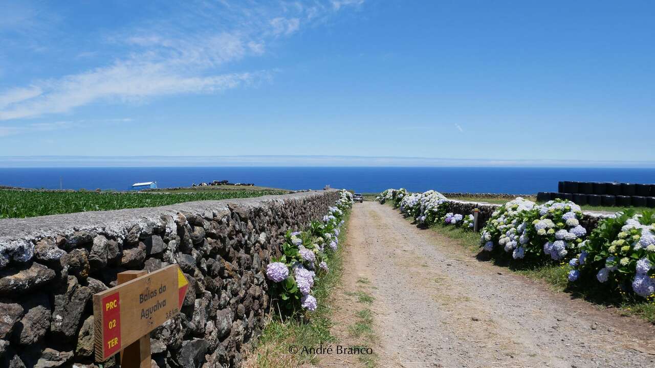 Paysage des îles