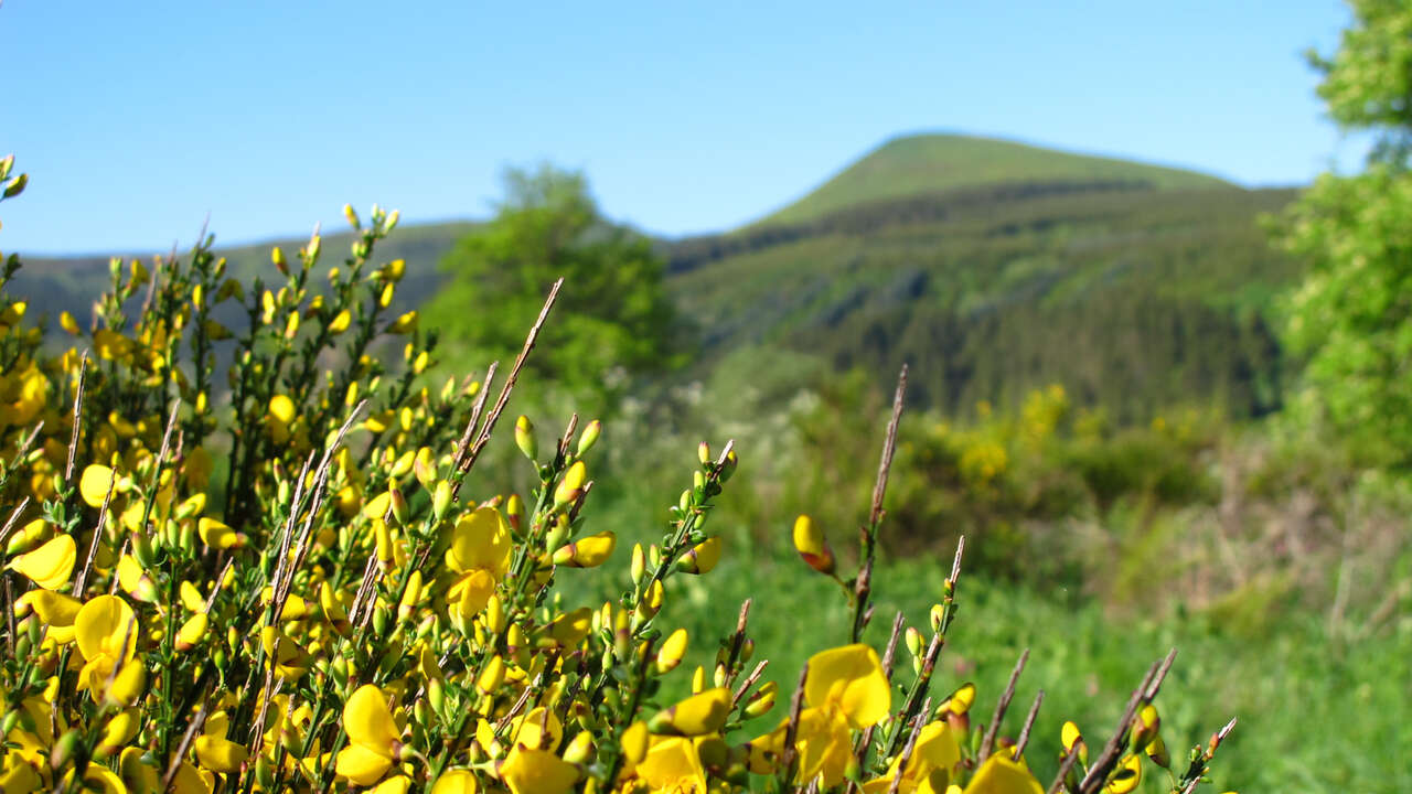 Paysage des volcans d'Auvergne