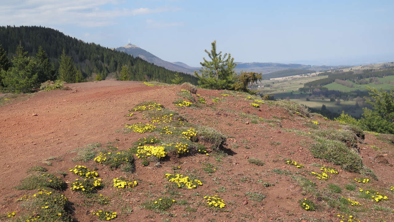 Paysage des volcans d'Auvergne