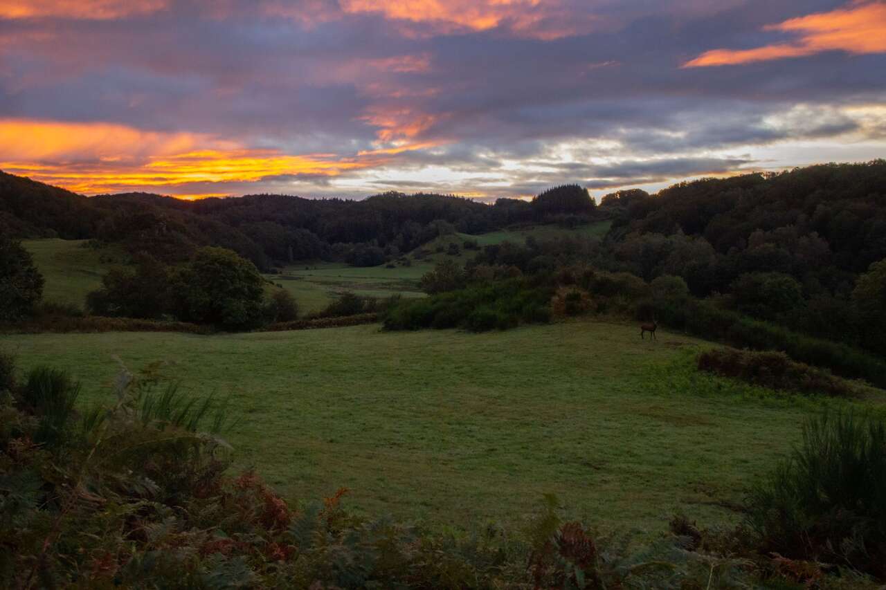 Paysage du cantal