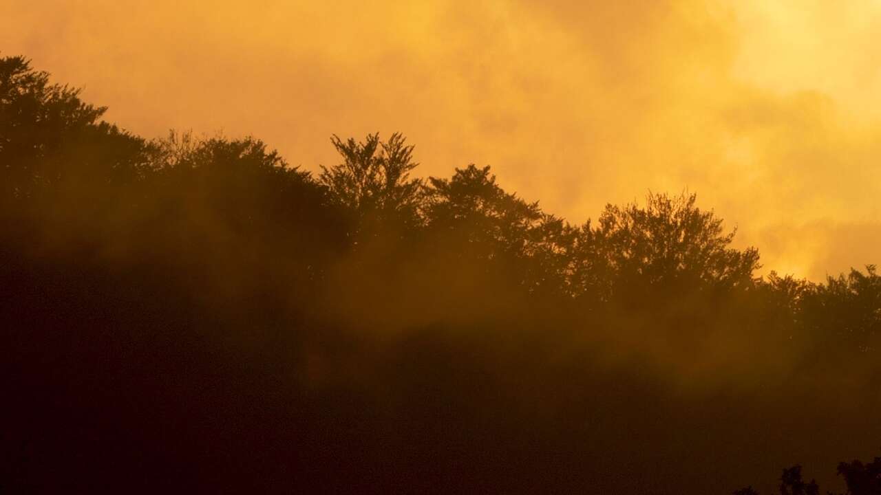 Paysage du cantal