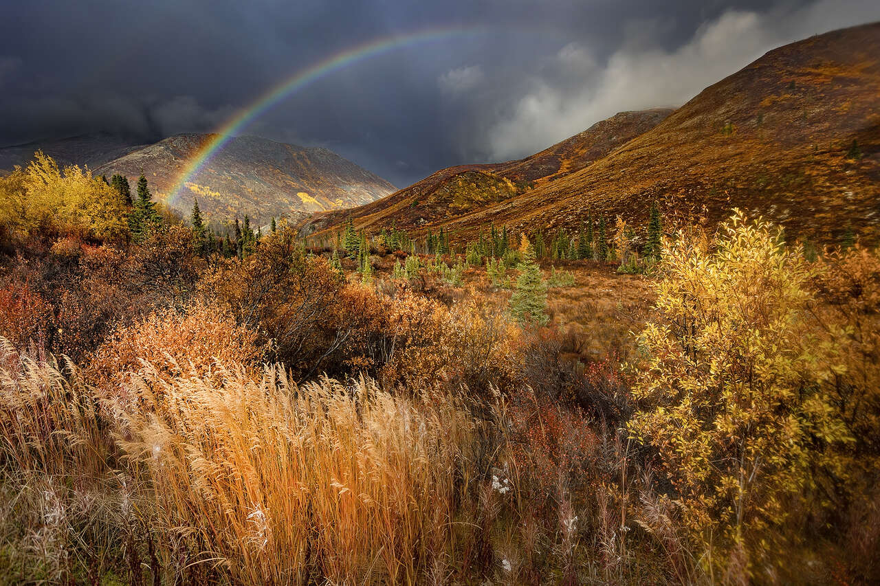 Paysage du Yukon avec arc en ciel