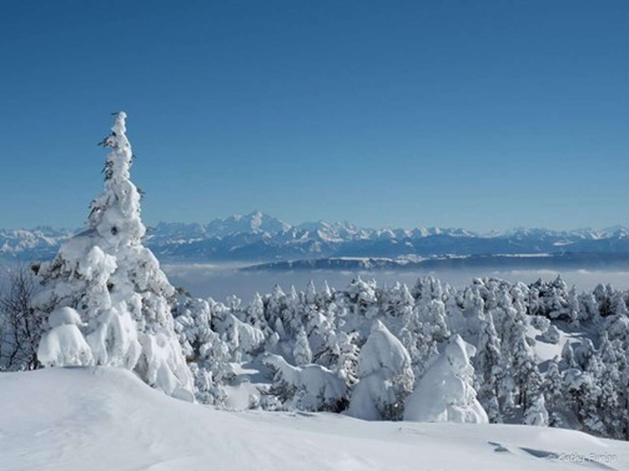 Paysage enneigé de montagne et mont blanc