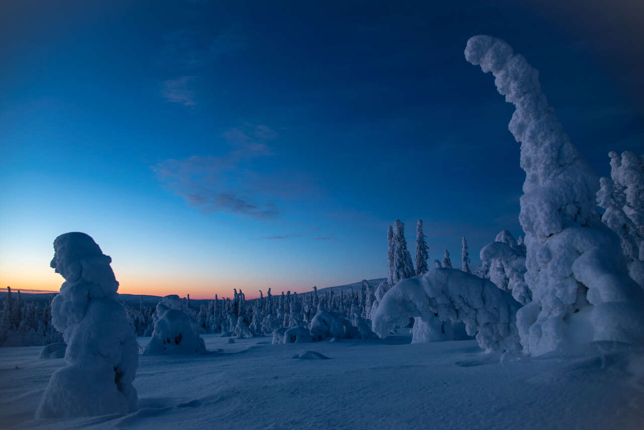 Paysage hivernal de Finlande